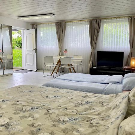 Studio In Stadtnaehe Zuerich Mit Guter Verkehrsanbindung Adliswil Εξωτερικό φωτογραφία