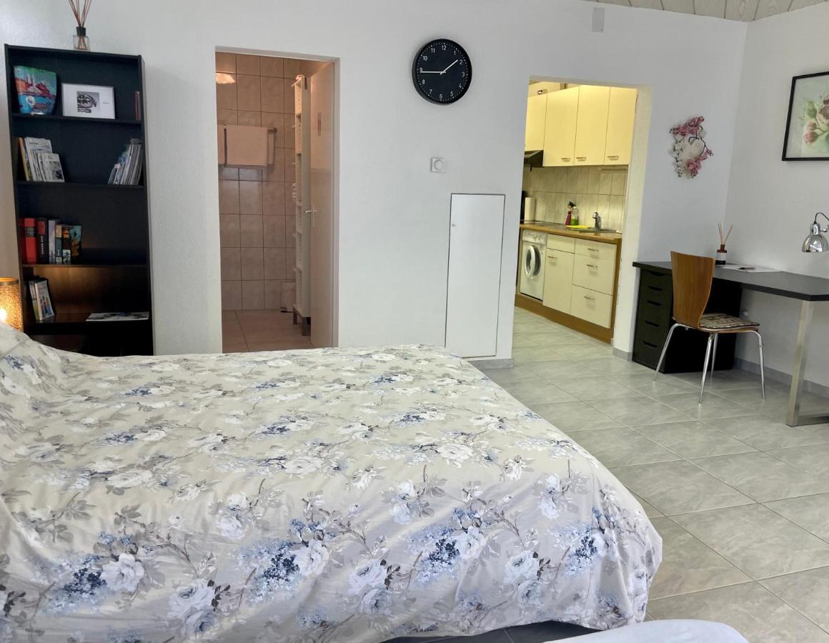 Studio In Stadtnaehe Zuerich Mit Guter Verkehrsanbindung Adliswil Εξωτερικό φωτογραφία