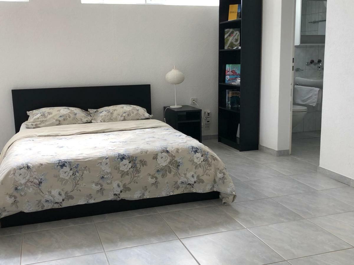 Studio In Stadtnaehe Zuerich Mit Guter Verkehrsanbindung Adliswil Εξωτερικό φωτογραφία